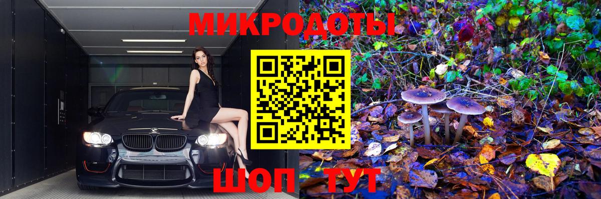 Псилоцибиновые грибы MAGIC MUSHROOMS  Псилоцибиновые грибы Magic Shrooms  Вход с VPN  Братск 